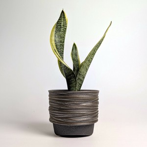 Shigaraki ware Pot/Planter Made in Japan