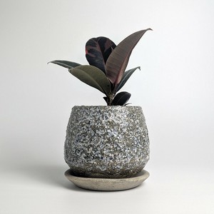 Shigaraki ware Pot/Planter Gray Made in Japan