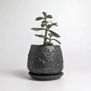 信乐烧 花盆 黑 日本制造