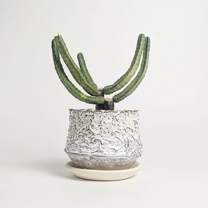 Shigaraki ware Pot/Planter Made in Japan