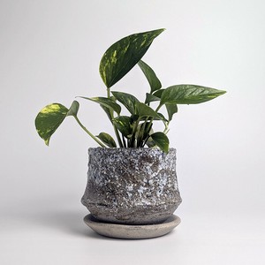 Shigaraki ware Pot/Planter Gray Made in Japan