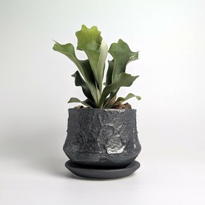 Shigaraki ware Pot/Planter black Made in Japan