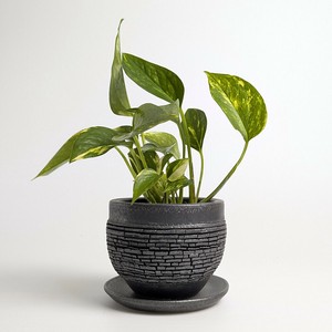 Shigaraki ware Pot/Planter Made in Japan