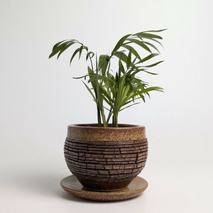 Shigaraki ware Pot/Planter Made in Japan