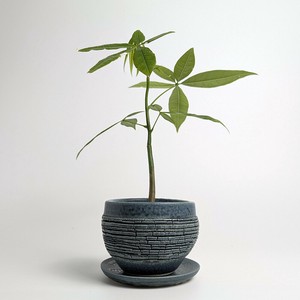 Shigaraki ware Pot/Planter Made in Japan