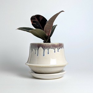 Shigaraki ware Pot/Planter Purple Made in Japan