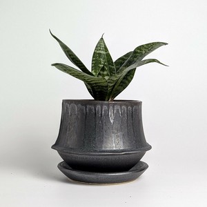 Shigaraki ware Pot/Planter Made in Japan