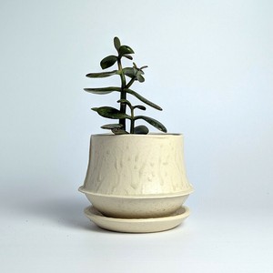 Shigaraki ware Pot/Planter Made in Japan