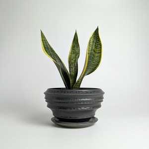 Shigaraki ware Pot/Planter Made in Japan