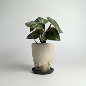 Shigaraki ware Pot/Planter Beige Made in Japan