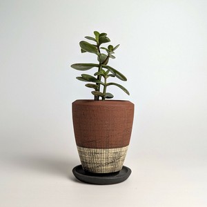 Shigaraki ware Pot/Planter Made in Japan