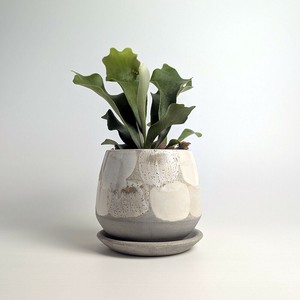 Shigaraki ware Pot/Planter Made in Japan