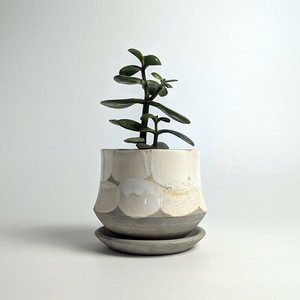 Shigaraki ware Pot/Planter Made in Japan