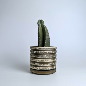 Shigaraki ware Pot/Planter Border Made in Japan