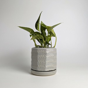 Shigaraki ware Pot/Planter Gray Made in Japan