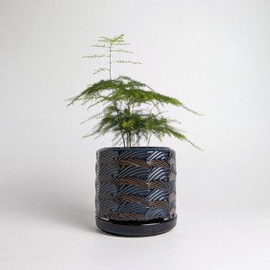 Shigaraki ware Pot/Planter Made in Japan