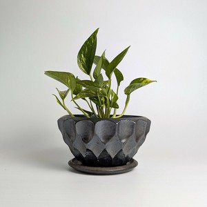 信乐烧 花盆 日本制造