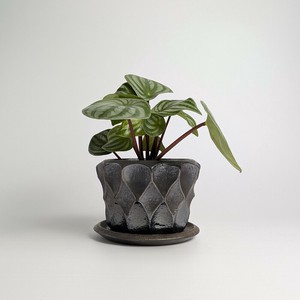 Shigaraki ware Pot/Planter Made in Japan