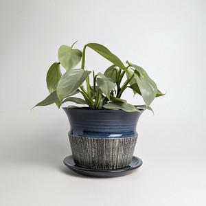 Shigaraki ware Pot/Planter Blue Made in Japan