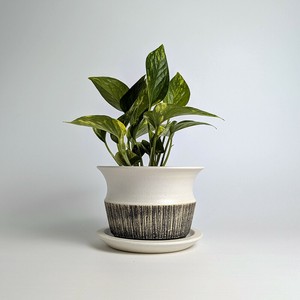 Shigaraki ware Pot/Planter Made in Japan