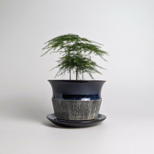 Shigaraki ware Pot/Planter Blue Made in Japan