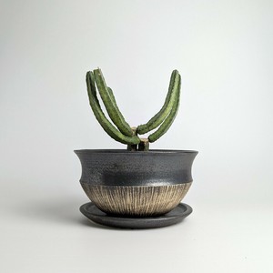 Shigaraki ware Pot/Planter Made in Japan