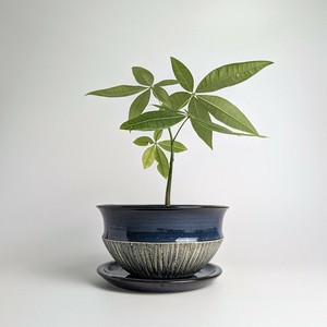 信乐烧 花盆 日本制造
