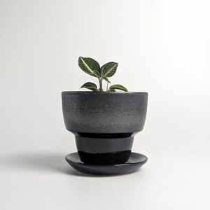 Shigaraki ware Pot/Planter Made in Japan