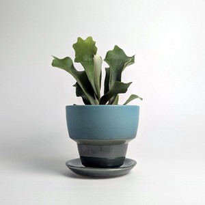 Shigaraki ware Pot/Planter Made in Japan