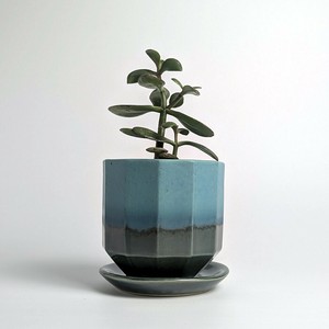 Shigaraki ware Pot/Planter Made in Japan