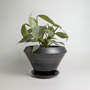 Shigaraki ware Pot/Planter Made in Japan
