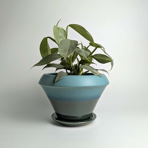 Shigaraki ware Pot/Planter Made in Japan