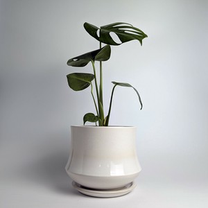 Shigaraki ware Pot/Planter Made in Japan