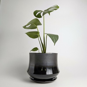 Shigaraki ware Pot/Planter Made in Japan