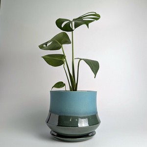Shigaraki ware Pot/Planter Made in Japan