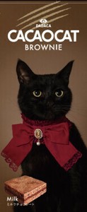 【新発売】CACAOCAT BROWNIE ミルク 3個入　ブラウニー【3ケース同梱必須　※6種フレーバーより選択可】