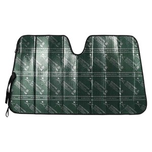 DULTON Car Item dulton Green