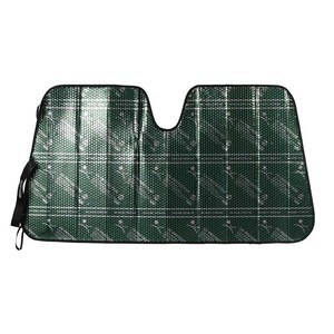 DULTON Car Item dulton Green