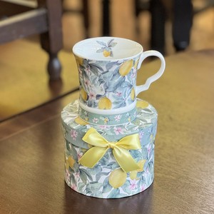 Cup Lemon
