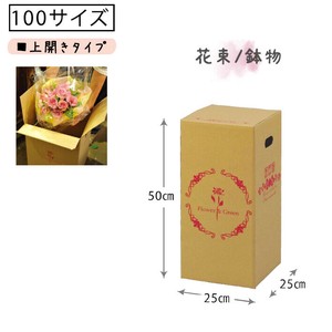 植物用宅配BOX　上開きタイプ 花束・鉢物用 P-10