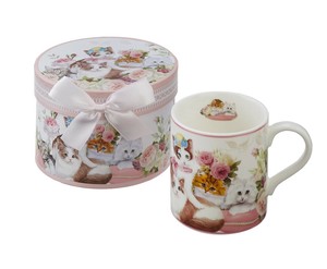 Cup Cats Cat
