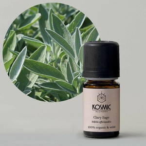 エッセンシャルオイル - セージ - 10mL