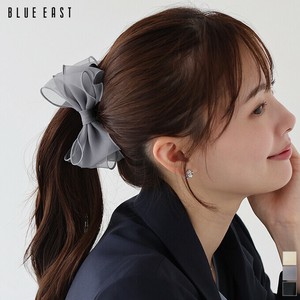 Clip Hair Clip [2025 NEW]