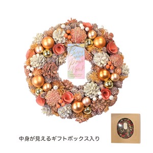 【予約販売】CMナチュラルリース　アプリコットルミナス