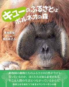 キューのふるさとはボルネオの森【2025年5月新刊！】