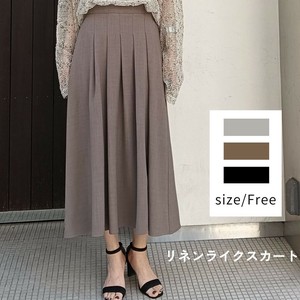 Skirt Pintucked Pleated skirt