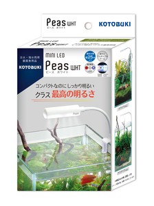 [寿工芸]ミニLEDピースホワイト
