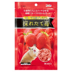 [スドー]ピッコリーノフルーツ王国プレミアム採れたて苺46g