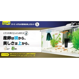 [スペクトラム ブランズ ジャパン]Tetraテトラメダカの繁殖を楽しむセットL