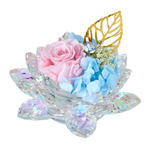 【2025年25AW新作】オーロラ蓮花（れんか）＃2　オーロラピンクΦ11×H10cm1コ入ZY000404-002